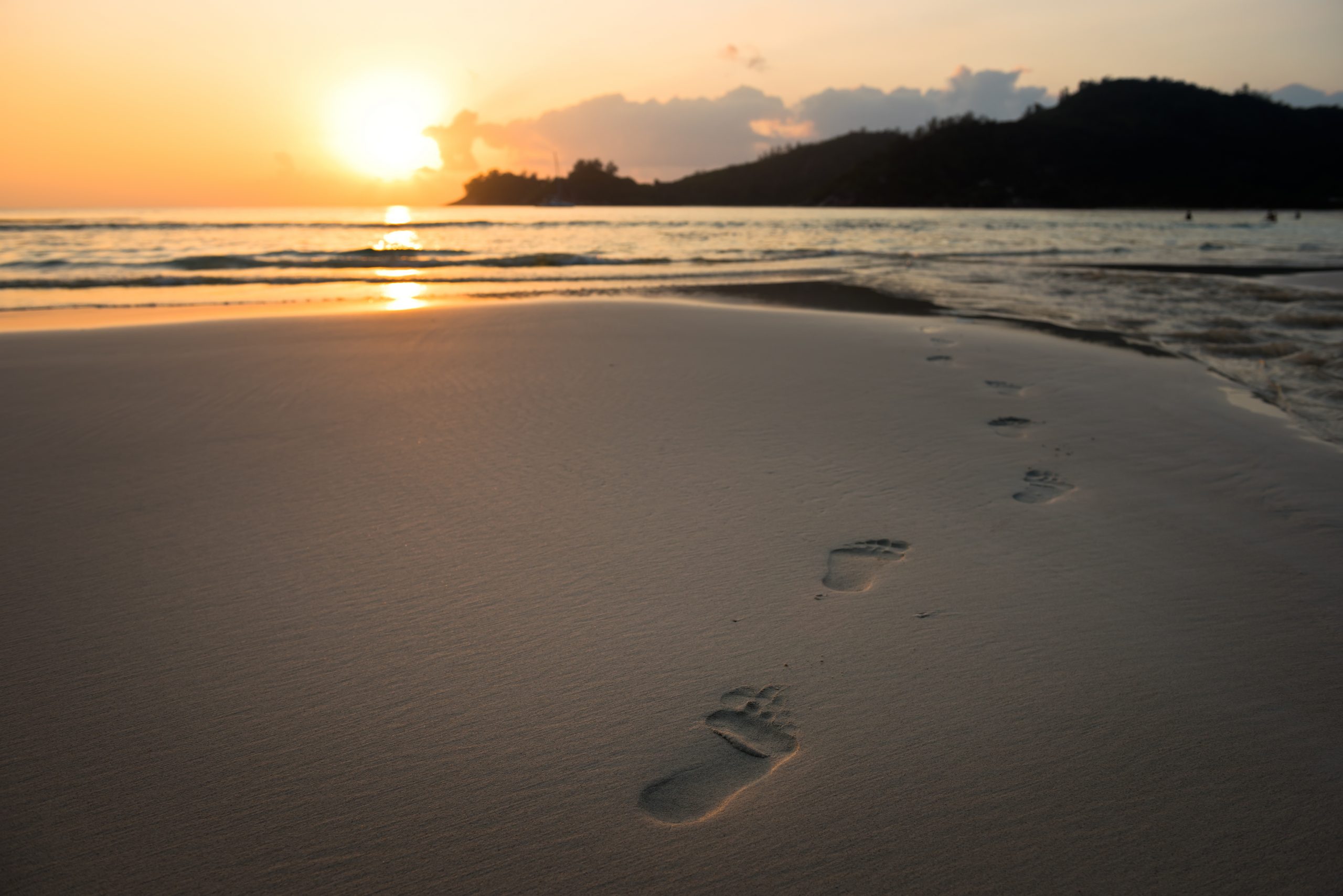 Virtual Bereavement Support Group