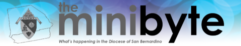 The Minibyte